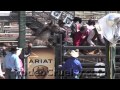 2011 High School Rodeo Finals, Still Abusing Horses