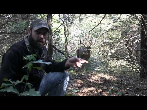 HUNTERS SAVE DEER...ALMOST GORED IN PROCESS!!!!!! PLEASE SHARE!!!!!!!!