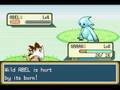 Pokemon Chaos Black Gameplay