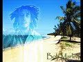 bob marley iron lion zion