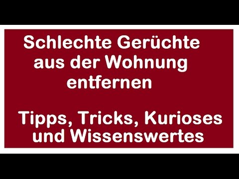 Schlechte Gerüche - Unangenehmen Geruch vertreiben - Wenn Wohnung / Auto nach nasser Hund riecht