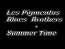 Les Pigmentos Blues Brothers - Summer Time