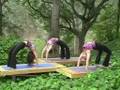 Anusara Yoga - DVD - Heart Flow Vinyasa - Ishwari Gonnot