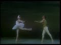 swan-lake.html