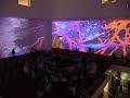 Museum of Modern Art (MoMA)