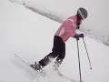 van 360 pucon