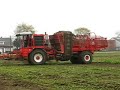 bietenoogst 2007 II