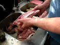 Christoph Wiesner Rinsing Speck Christoph Wiesner Rinsing Speck