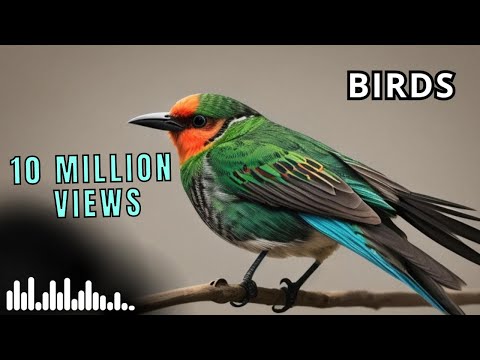 وصفه سهله للتخلص من شعر الوجه للابد بعد استعمالين ♪