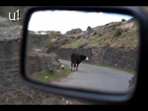 Քո աչքերով
