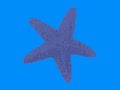 Rockpool Kayaks ALAW Promo