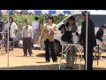 Click here to watch this video 2012/5/5東京南オールブリードクラブ展