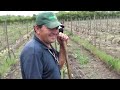 Trabajo duro al Ser Organico Viña Schwarzenberg - Impronta