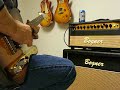 Bogner Shiva 5 - Fender Telecaster 1 Bogner Shiva 5 - Fender Telecaster 1