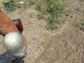 LM getting in shit