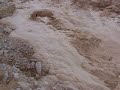 flood flood