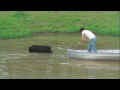 Porky, Wild Hog, Missed the Boat