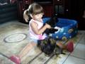 Luana e Filhotes de Shih-Tzus
