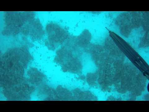 ergiannico - 