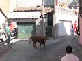 Encierro Santa Maria del Tietar VI