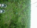 en Armenia fuimos a volar entre los arboles