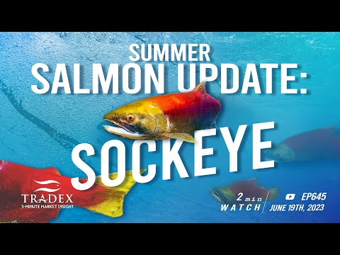 3MMI - 2023 Summer Salmon Update: Sockeye Salmon