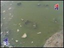Canal31 - Poblador denuncia contaminación Canal31 - Poblador denuncia contaminación