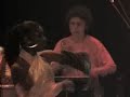 guarana samba