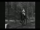 Equestrian Music Video 2 Equestrian Music Video 2