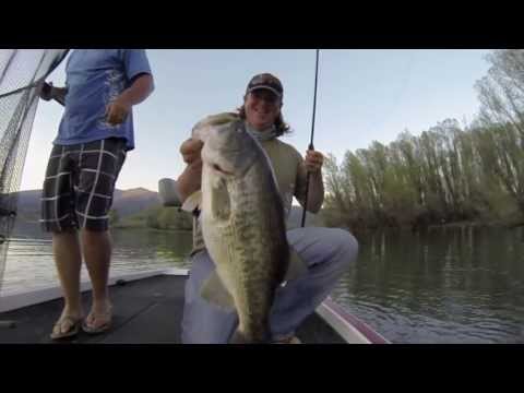 spittin - Matt Allen and Tim Little crush giant bass on the newest Poppin' frog on the market, the River2Sea Spittin' Wa! You can buy it directly at http://www.tacklew...
