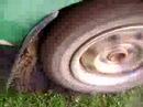 Stuck Down Tha Hill