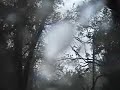 Hurricane Ike in Humble, Texas