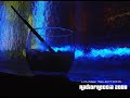 lounge music: 