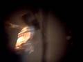 videos de Girlicious Live In Charlottetown