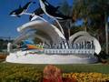 Busch Gardens + Seaworld in Florida