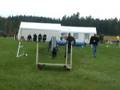 Ladys klass III lopp i Tidaholm