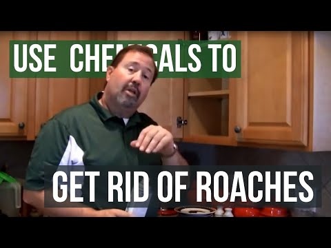 how to control roaches