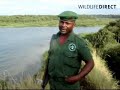 Elie talks about the Congo Mai Mai attack on gorilla sector