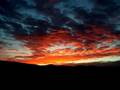 Man With No Name - Seratonin Sunrise