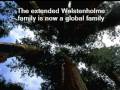 Wolstenholme - 'taster' for wolstenholme.org family
