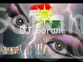 DJ Sorani ft Dana Hawleri - Pem Ble Sheti (Reggaeton Remix)