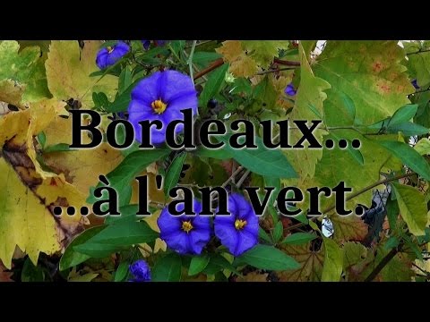 Image de prévisualisation YouTube