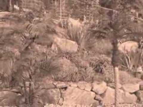 Explorers: Juan Ponce De Leon