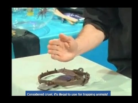 YouTube Preview Image