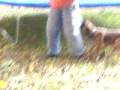 videos de 000 0273