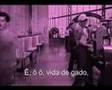 Normose tecnológica e industrial