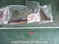 Hop rhizomes before planting