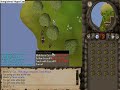 Wrnch7jr gets 99 woodcut on runescape
