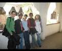 fait local trip 1
