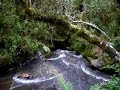 Cachoeira em Campos do Jord�o